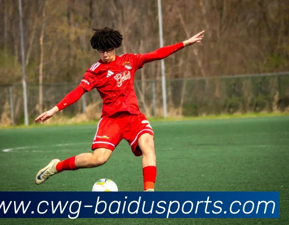 百度体育nba平台生态图